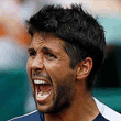 Fernando Verdasco